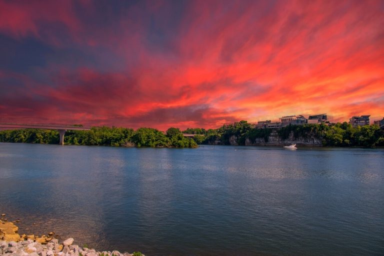 a gorgeous summer landscape along at Coolidge Park